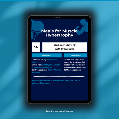 Peak Performance Planners (Planners Bundle)