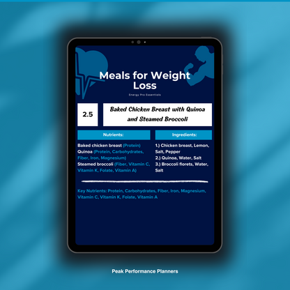 Peak Performance Planners (Planners Bundle)