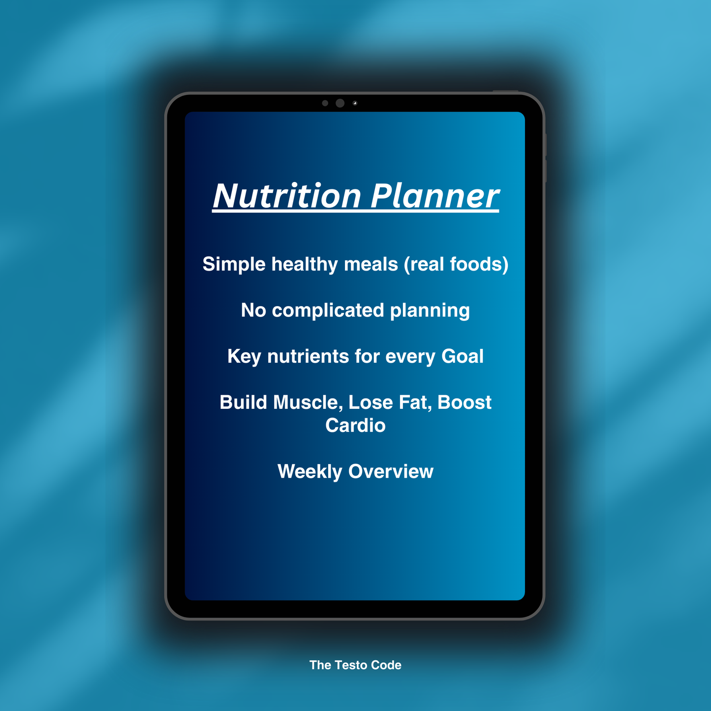 The Warrior System (Full Course)